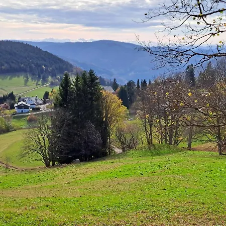 La Petite Retraite - Ein Idyll In Todtnauberg Todtnau