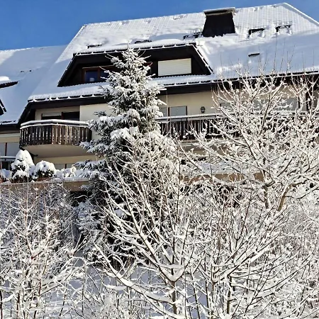 Appartement La Petite Retraite - Ein Idyll In Todtnauberg Todtnau