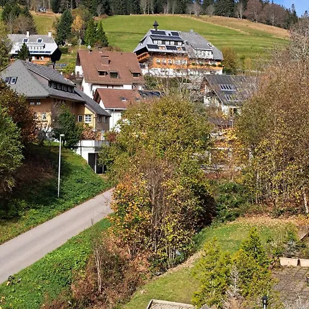 Appartement La Petite Retraite - Ein Idyll In Todtnauberg *